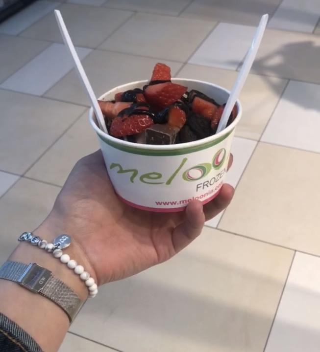 meloonia Frozen Yogurt